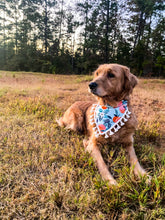 Load image into Gallery viewer, Ball is Life Over the Collar Dog Bandana | Seasonal Bandana | Summer Bandanas