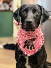 Load image into Gallery viewer, Ball is Life Over the Collar Dog Bandana | Seasonal Bandana | Summer Bandanas