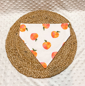 Peachy Over the Collar Dog Bandana | Summer bandana | Seasonal Bandana | Spring Bandana