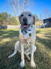 Load image into Gallery viewer, Baseball Over the Collar Dog Bandana | College Baseball | Pro Baseball | Dog Bandana | dog accessories | Seasonal Dog Bandana