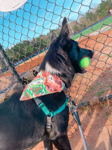 Ball is Life Over the Collar Dog Bandana | Seasonal Bandana | Summer Bandanas