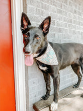 Load image into Gallery viewer, Cheetah Dog Bandana