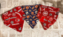 Load image into Gallery viewer, Collegiate Slip on Dog Bandana