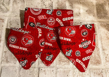 Load image into Gallery viewer, Collegiate Slip on Dog Bandana