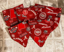 Load image into Gallery viewer, Collegiate Slip on Dog Bandana