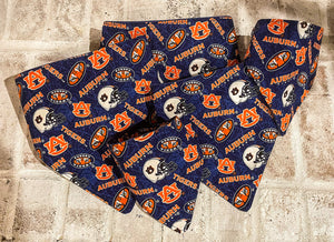 Collegiate Slip on Dog Bandana