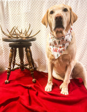 Load image into Gallery viewer, Naughty &amp; Nice Over the Collar Dog Bandana