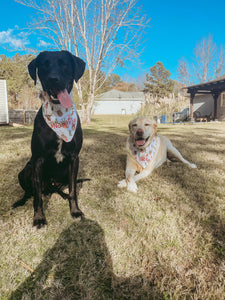 Naughty & Nice Over the Collar Dog Bandana