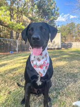 Load image into Gallery viewer, Naughty &amp; Nice Over the Collar Dog Bandana